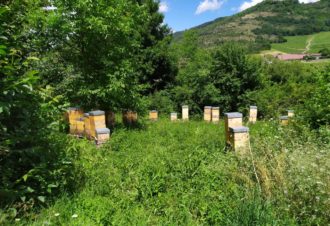 La Ferme de Chantemerle