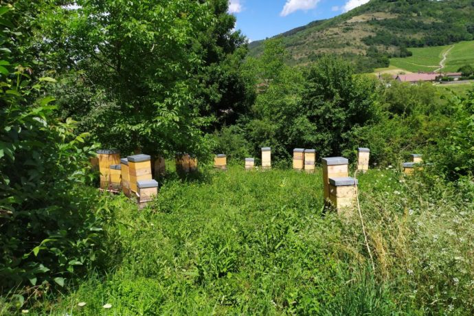 Ferme de Chantemerle 2024 (4)