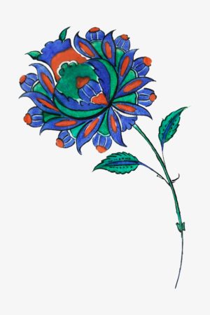 Fleur Rumi
