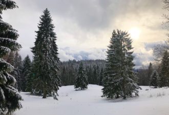 Site Nordique de Foncine-le-Haut