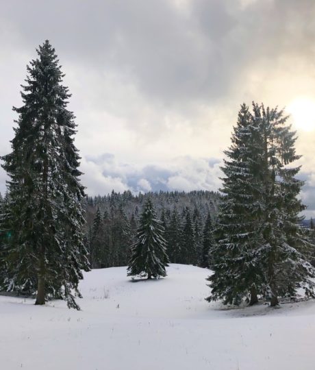 Site Nordique de Foncine-le-Haut