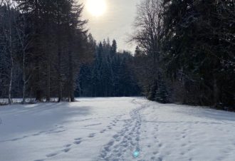 Site Nordique de Foncine-le-Haut