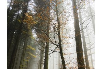 Sylvain Rouvier Photographie