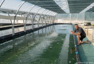 Le Spirulinier Comtois