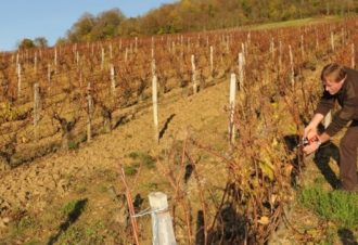 Domaine Frédéric Lornet