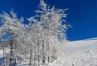 Le Sagyterre