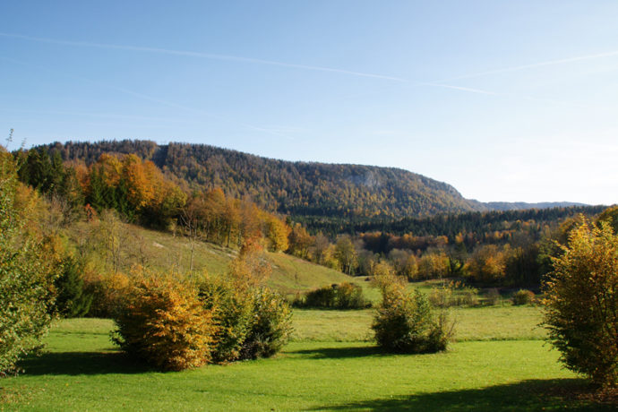 Le Refuge