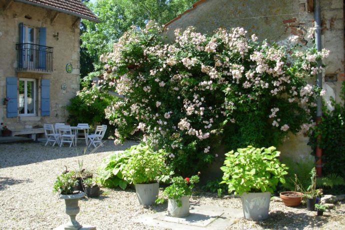 Chez Delphine