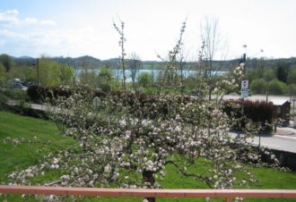 Le Verger du Lac