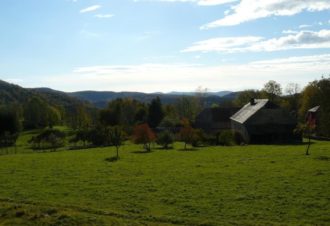 Chalet Scandinave Organique