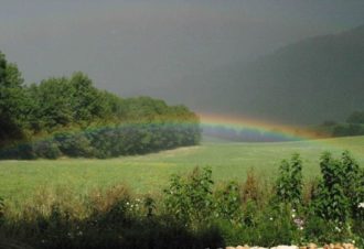 Chalet Scandinave Organique