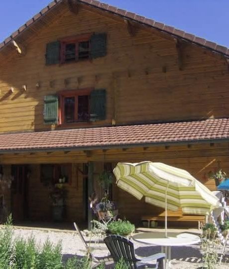 Chalet Scandinave Organique
