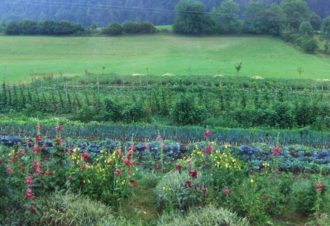 Chalet Scandinave Organique