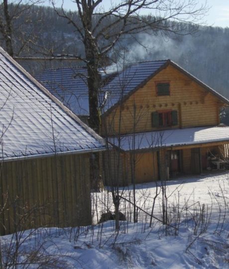 Chalet Scandinave Organique