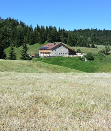 Gîte Tré Le Grenier – Le Haut