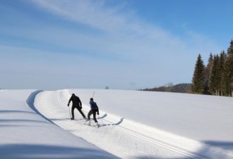 Le clos des Grillons