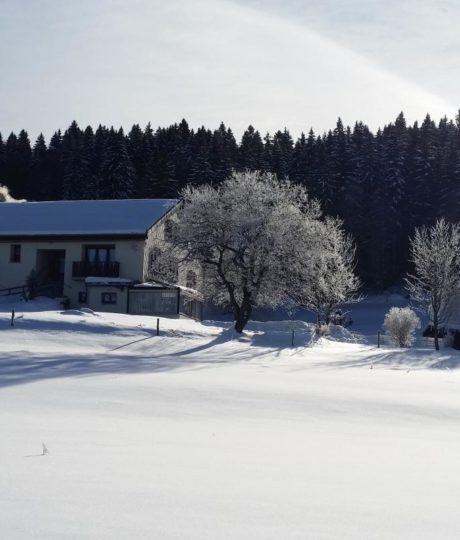 Appartement Le Chevreuil – MV Vacances