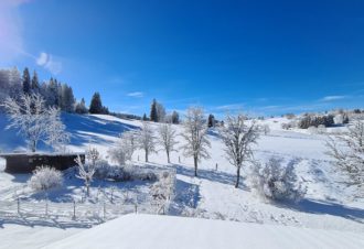 Appartement Le Chevreuil – MV Vacances