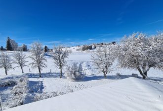 Appartement Le Chevreuil – MV Vacances