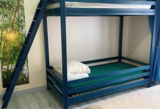 la mésange bleue