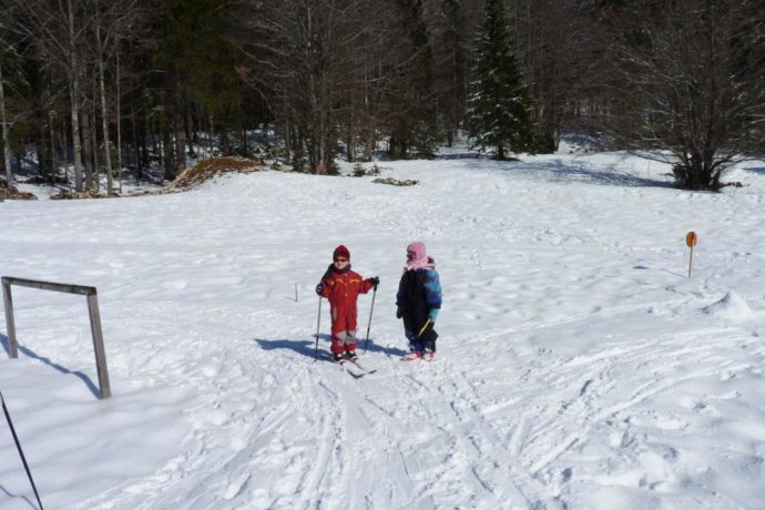 Le Logis des Neiges