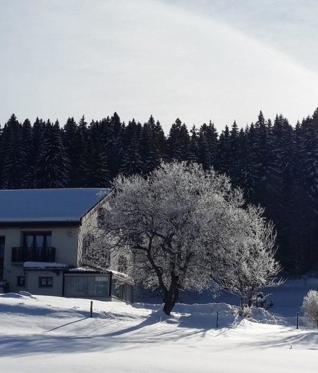 Appartement Le Renard – MV Vacances