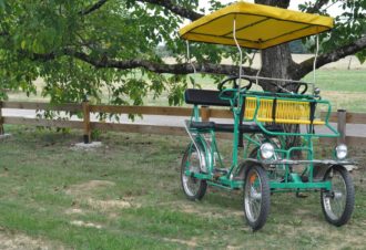 La parenthèse verte