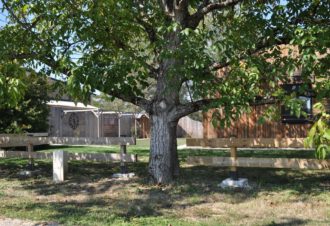 La parenthèse verte