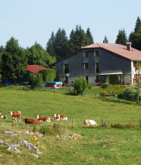 La Ferme de l’Estive
