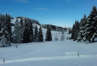 Les Sequanes