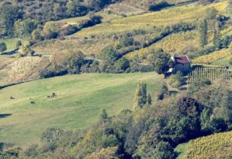 Les Billardes