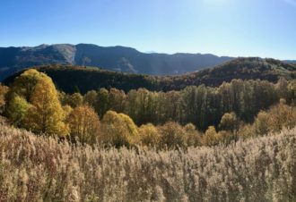 Chalet le Petit Bois Rond