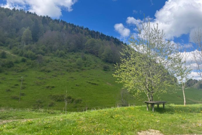 La Loge d&rsquo;Evuaz