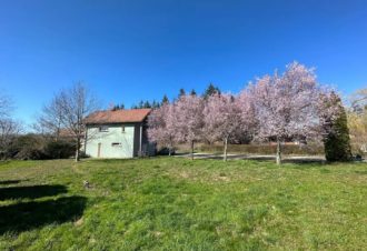 Les carnets de voyage