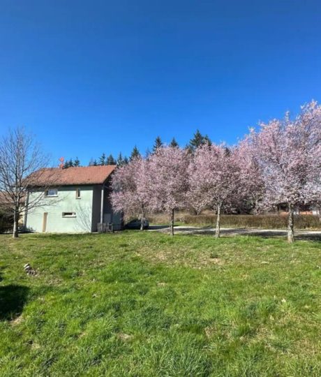 Les carnets de voyage