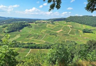 L&rsquo;Abri des Pies