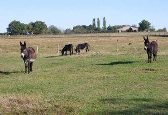 La Ferme de Nanette