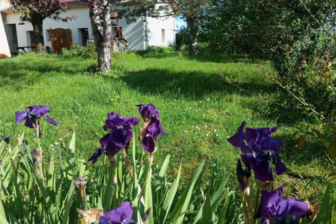 La Ferme de Nanette