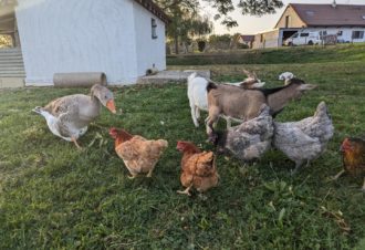 Gîte Les Caravottes