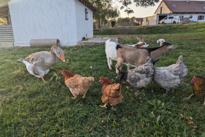 Gîte Les Caravottes