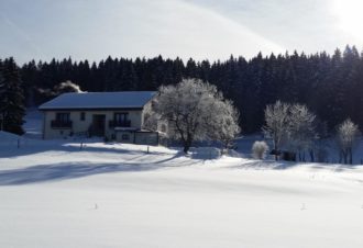 Appartement L’Écureuil – MV Vacances