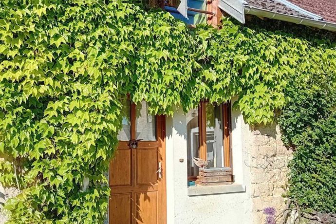 L&rsquo;Arbre à papillons