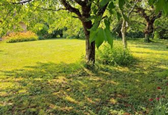 L&rsquo;Escale des Délices