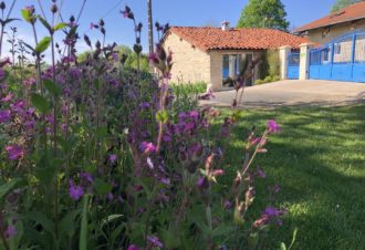 La Petite Hulotte