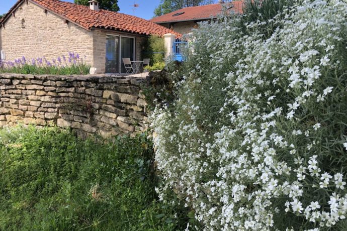 La Petite Hulotte
