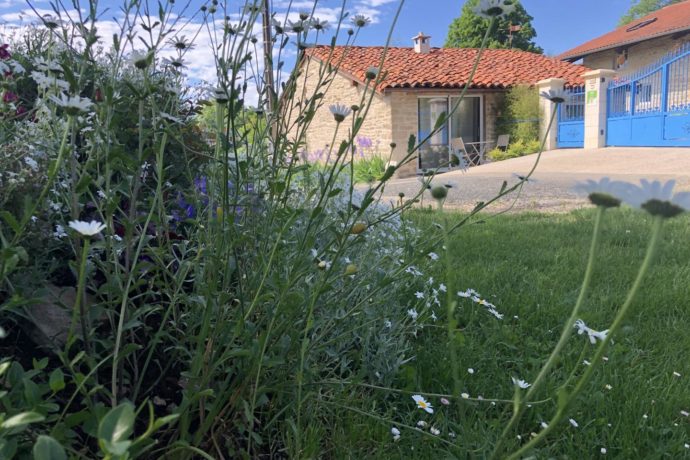 La Petite Hulotte