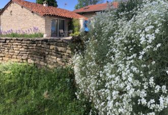 La Petite Hulotte