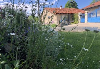 La Petite Hulotte