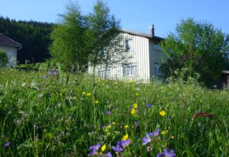 L’atelier de parrain