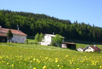L&rsquo;atelier de parrain